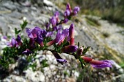 Anello del PIZZO DI SPINO (958 m) da Spino al Brembo via Pregaroldi il 27 aprile 2023 - FOTOGALLERY